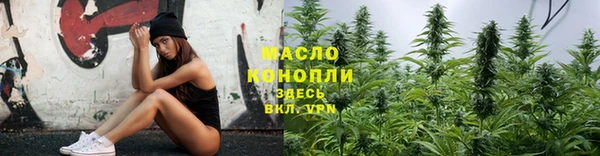 дмт Гусев