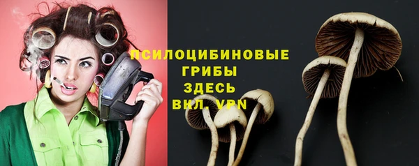 МДПВ Гусиноозёрск