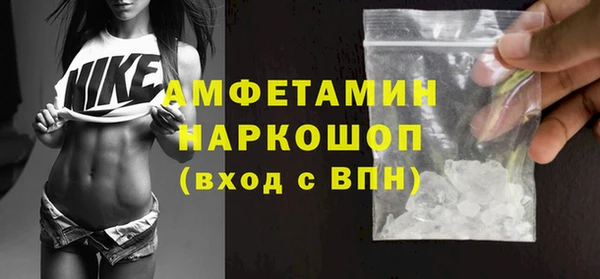 дмт Гусев