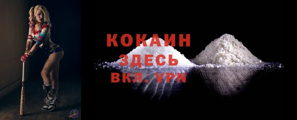 дмт Гусев