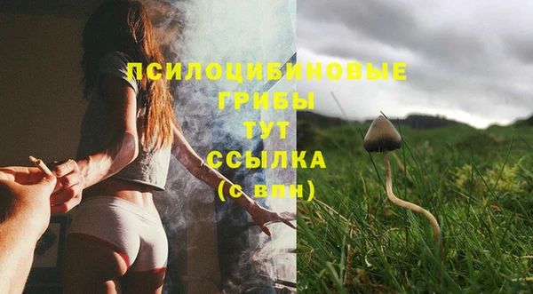 дживик Дмитриев