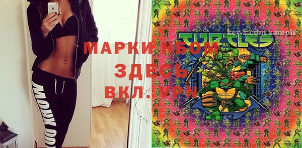 дмт Гусев