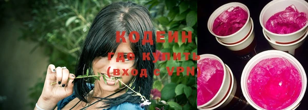 дмт Гусев