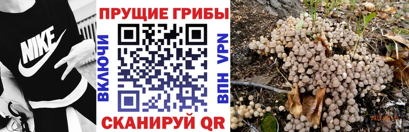 Псилоцибиновые грибы MAGIC MUSHROOMS  Купить где  Полярный 